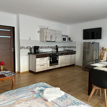 Apartman V Krusnych Horach-Free Parking Jáchymov Kültér fotó